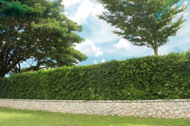 Tuğla duvarlı ve süslemeli ağaç