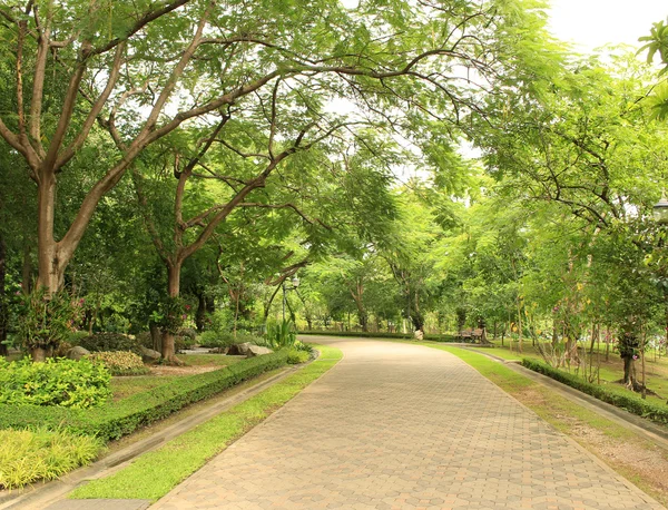 Sten väg i den gröna parken — Stockfoto