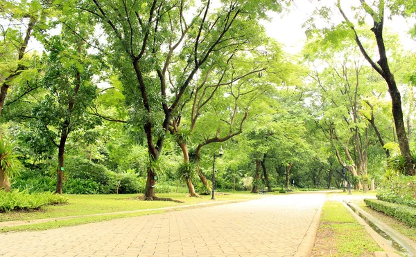 Sten väg i den gröna parken — Stockfoto