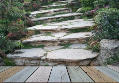 Güzel bahçede yürüyüş yolu 