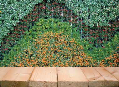 çiçek ve bitki duvarı dikey bahçe