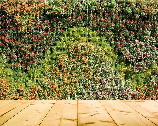 Jardín vertical de la pared de flores y plantas — Foto de Stock