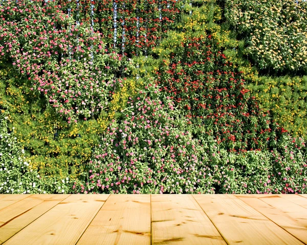 Fleur et plante mur vertical jardin — Photo