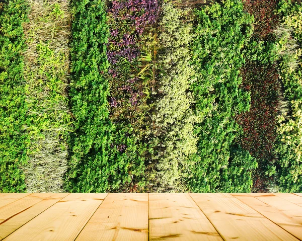 Blomma och växt vägg vertikal trädgård — Stockfoto