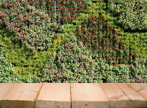 꽃과 꽃으로 만든 수직 정원 — 스톡 사진