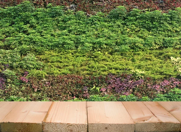 Květinová a rostlinná zeď vertikální zahrada — Stock fotografie
