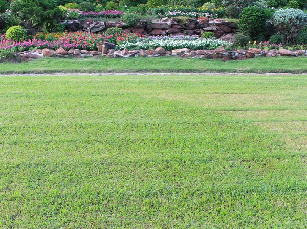 Flores de jardín y paisaje vegetal — Foto de Stock