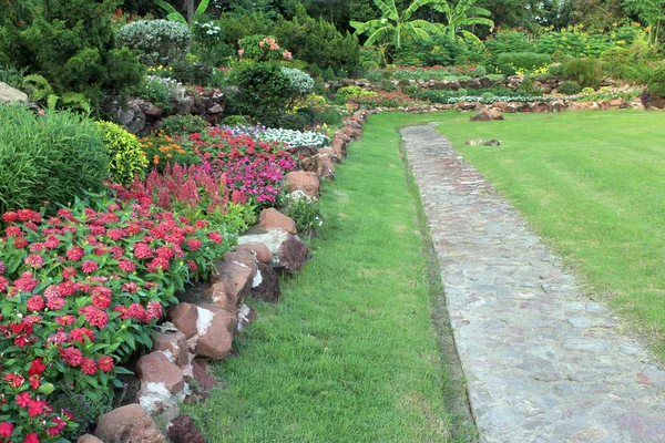 Flores de jardín y paisaje vegetal — Foto de Stock