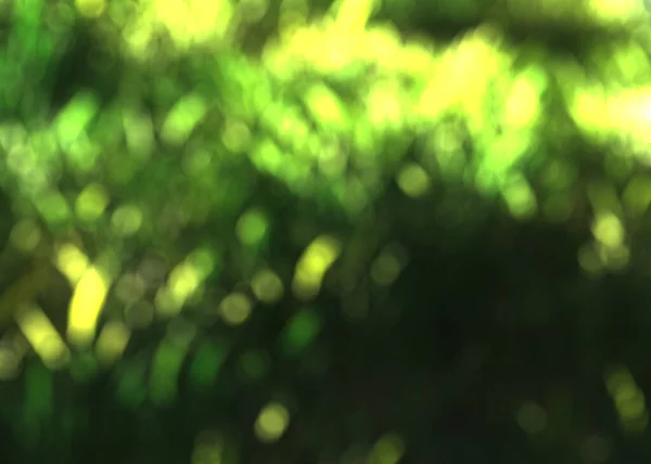 Lights Green Yellow Bokeh Nature Defocus Abstract Blur Background — Stock Photo, Image