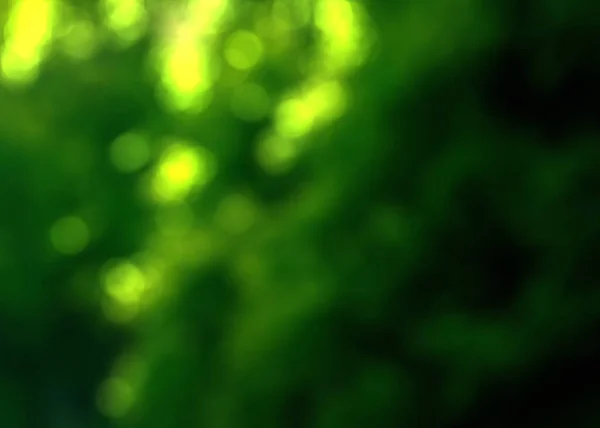 Ljus Och Grönt Med Gul Bokeh Naturen Defocus Abstrakt Suddig — Stockfoto