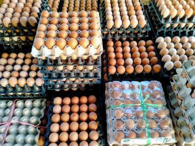 Yumurta kabında tavuk kahverengi çiğ yumurta..