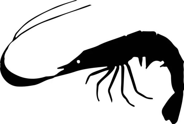 Shrimp Symbol Isoliert Auf Weißem Hintergrund — Stockvektor