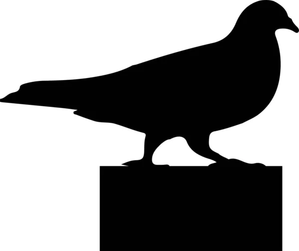 Illustration Vectorielle Oiseau Isolé Sur Fond — Image vectorielle