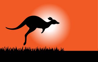 kanguru vektör çizimi arkaplanda izole edildi