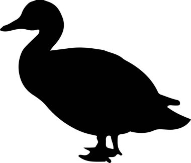 Ördek simgesi beyaz arkaplanda izole edildi