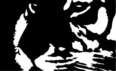 Beyaz arkaplan vektörü