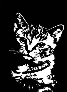 beyaz arkaplanda kedi vektörü