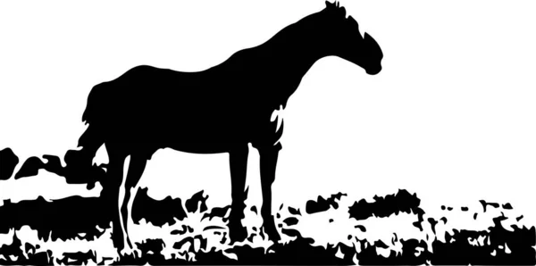 Vector Caballo Sobre Fondo Blanco — Vector de stock