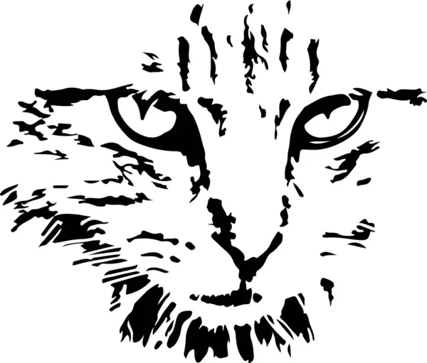 Katzenvektor Auf Weißem Hintergrund — Stockvektor