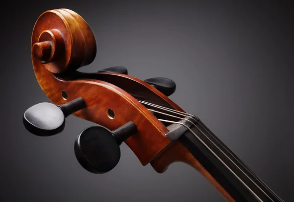 Gulungan Cello pada headstock — Stok Foto