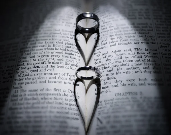 Anéis de casamento sobre a Bíblia — Fotografia de Stock