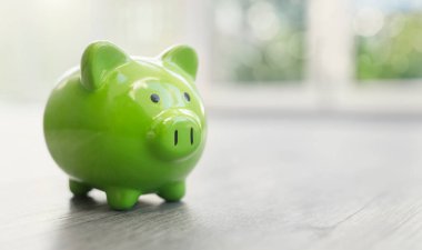 Domuzcuk bankası tasarruf, muhasebe, bankacılık ve iş hesabı konsepti