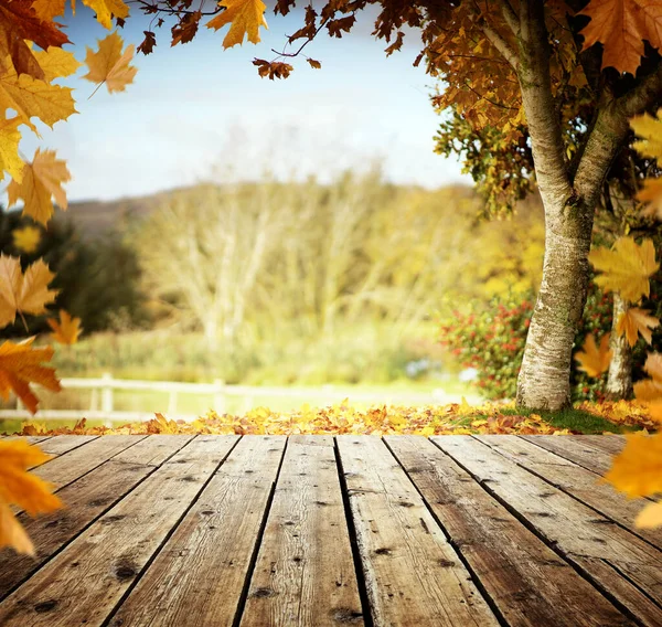 Hojas Otoño Fondo Mesa Madera Con Espacio Para Copiar — Foto de Stock