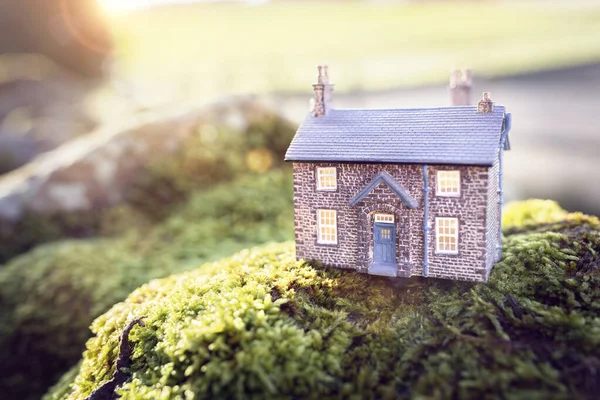 Modelo Casa Campo Fondo Del Hogar Naturaleza — Foto de Stock