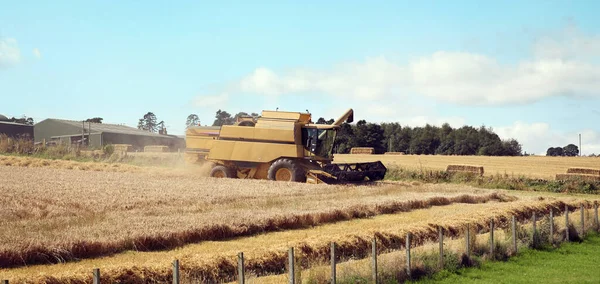 Combine Harvester Harvest Time Wheat Crop — Stock Photo, Image