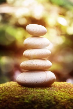 denge ve uyum içinde doğa