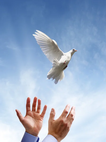 Freedom, peace and spirituality — Stock Photo, Image