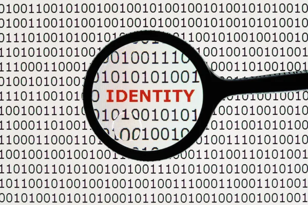 Furto di identità online — Foto Stock