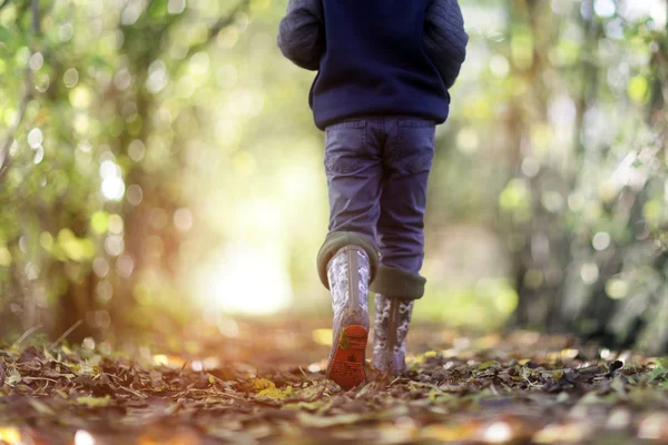 Ragazzo che cammina sul sentiero di campagna — Foto Stock