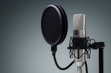 Studio microphone and pop shield on mic clipart