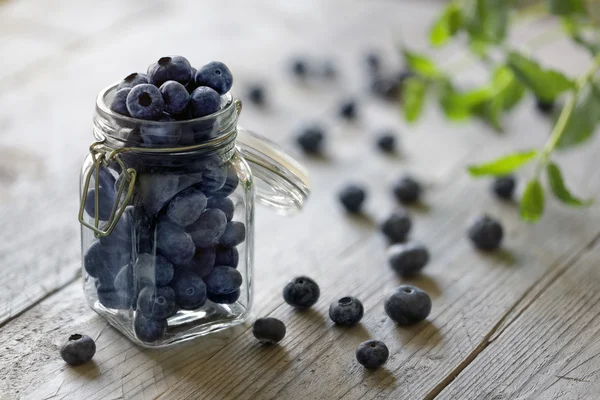 Blueberry antioxidante orgânico em um frasco — Fotografia de Stock