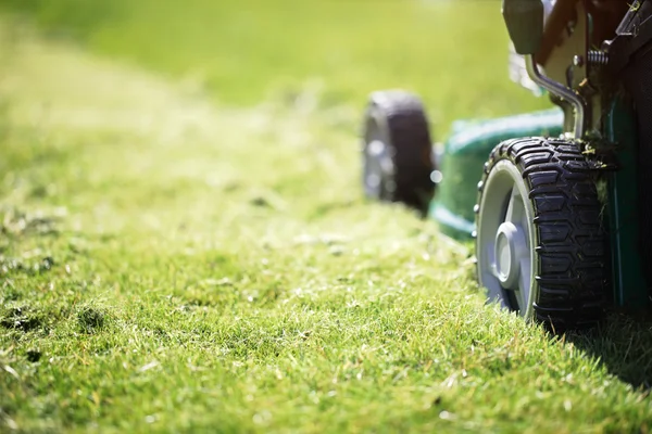 Green lawn mower — Stock Photo, Image