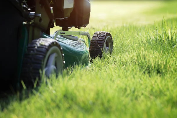 Green lawn mower — Stock Photo, Image