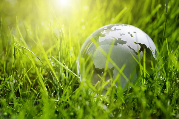 Glass globe in the grass — Stock Photo, Image