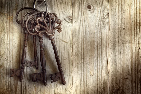 오래 된 해골 열쇠 — 스톡 사진