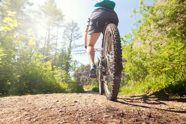 Mountainbiker op een bospad — Stockfoto