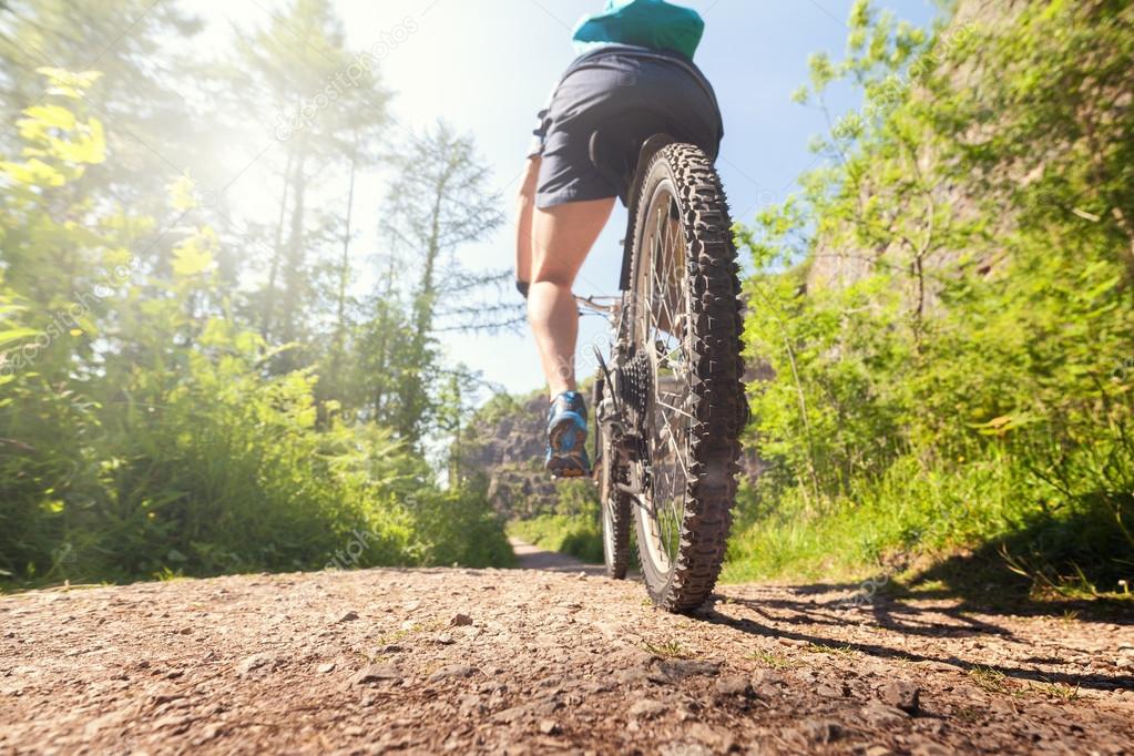 Mountain biker on a forest trail