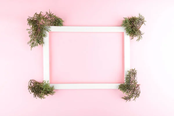 Festive Elegant Background Blank Photo Frame Pastel Pink Background Fir — Foto Stock