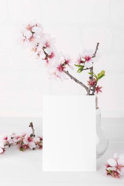 Badem ağacı dallı beyaz, boş bir kart modeli. Aşkın için Sevgililer Günü kartı