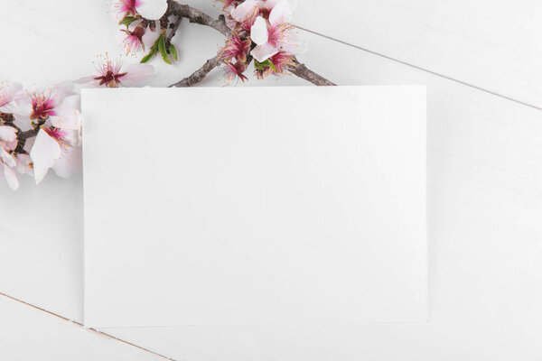 White empty card mockup with blooming almond tree branch. Valentines Day card for your love