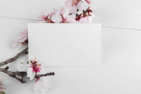 Белый пустой макет карты с цветущей веткой миндального дерева — стоковое фото