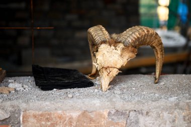 Boynuzlu bir hayvanın kafatası terk edilmiş bir yerde beton bir duvarda yatıyor.