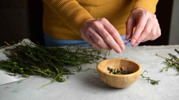 Autentiche Mani Femminili Stanno Sbucciando Preparando Asparagi Selvatici Cucinare Una — Video Stock