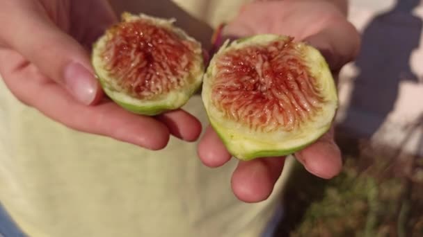 Γυναικεία Χέρια Που Κρατούν Μισό Φρέσκο Ώριμο Φρούτο Σύκου Μια — Αρχείο Βίντεο