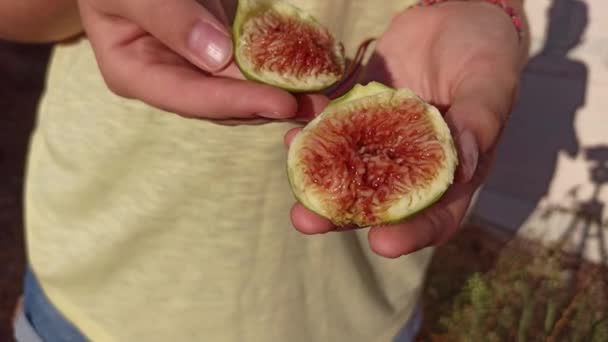 Mani Femminili Che Tengono Mezza Frutta Fresca Matura Una Giornata — Video Stock