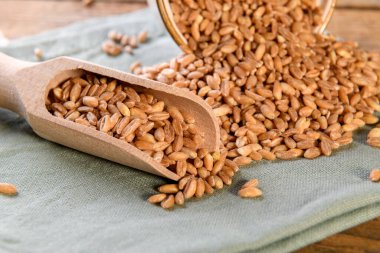 Tahta kepçedeki çiğ organik büyü taneleri.